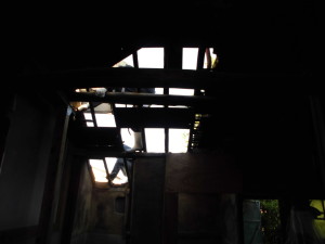 CIMG0061