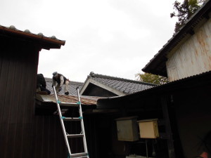 CIMG0223