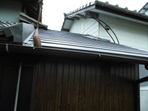 CIMG0229