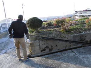 CIMG0246