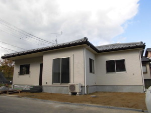 CIMG0295