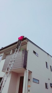 line_1549598853912