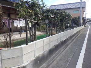 RIMG4366