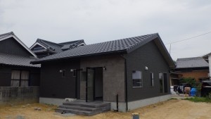 RIMG1550