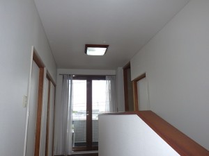 RIMG5233