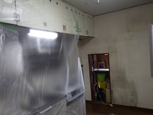 RIMG5279