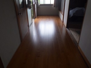 RIMG5371