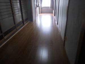 RIMG5374