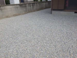 RIMG5382