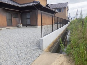 RIMG5384