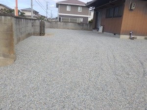 RIMG5385