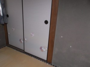 DSCF4078