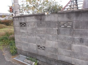 DSCF4204