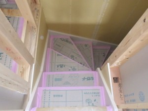 RIMG5559