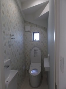 DSCF4333