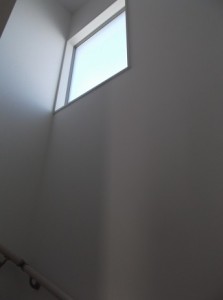 DSCF4341