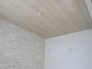 RIMG5686