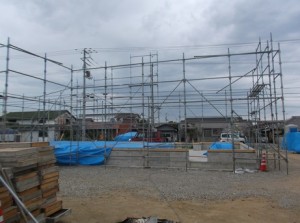 DSCF4499