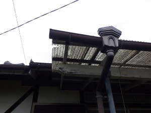RIMG4253