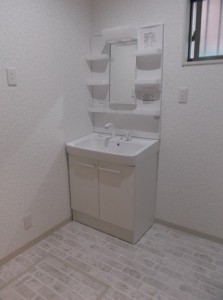DSCF4733
